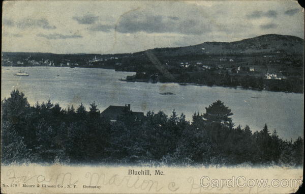 View of Town and Coast Bluehill Maine