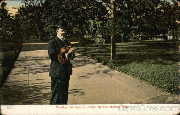 Feeding the Squirrel, Public Garden Boston Massachusetts