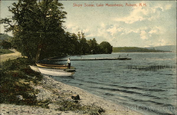 Shore Scene at Lake Massabesic Auburn New Hampshire