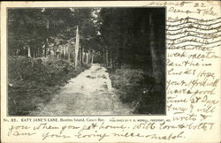 Katy Jane's Lane, Bustins Island, Casco Bay Postcard
