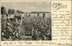 Cotton Picking Postcard