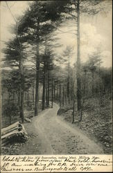 Road, Blue Hill Reservation Looking West Postcard