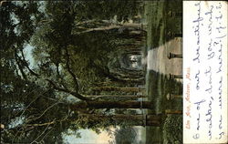 Elm Arch Postcard