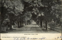 Tree Lined Adams Street Quincy, MA Postcard Postcard