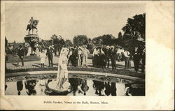 Public Garden - Venus at the Bath Postcard