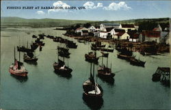 Fishing Fleet Postcard