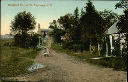 Elizabeth Street St. Andrews, NB Canada New Brunswick Postcard Postcard