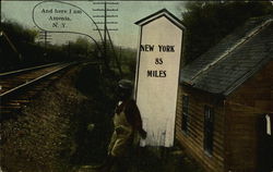 Milepost by the Railway - New York 85 Miles Amenia, NY Postcard Postcard