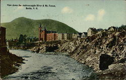 View down the Androscoggin River & Mt. FOrest Postcard