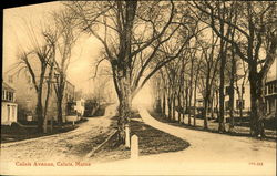 Residential View of Calais Avenue Postcard