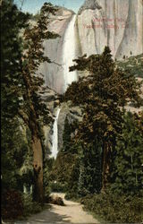 Yosemite Falls, Yosemite Valley, CA Postcard