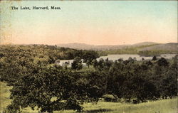 Scenic View of the Lake Postcard