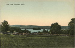 The Lake Postcard