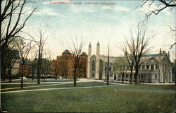 Harvard Grounds Postcard