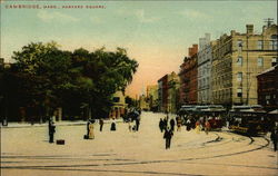 View of Harvard Square Postcard