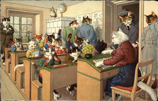 Cats Dressed as School Children
