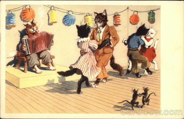 Cats Dancing to Accordion Music