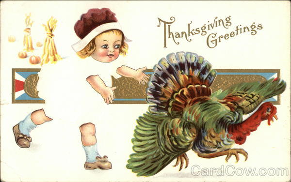 A child and a turkey Turkeys