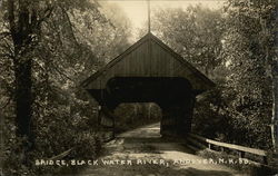 Bridge, Black Water River Postcard