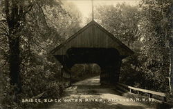 Bridge, Black Water River Andover, NH Postcard Postcard