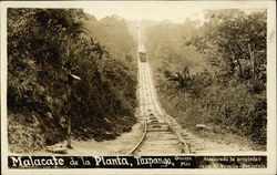 Malacate de la Planta Postcard