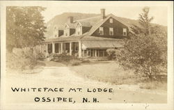 Whiteface Mt. Lodge Ossipee, NH Postcard Postcard