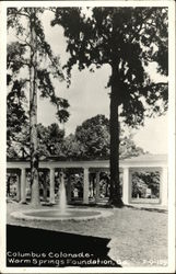 Columbus Colonade, Warm Springs Foundation, Ga Postcard