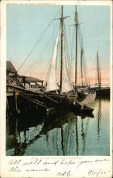 A Cape Ann Fishing Schooner Sailboats Postcard Postcard