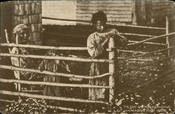 Black Family in Yard of Home Postcard