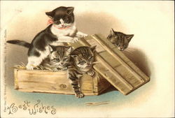 Best Wishes with a box full of Kittens Postcard