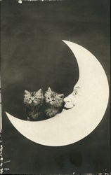 Portrait of Kittens on a Paper moon Postcard
