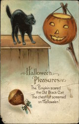 Haloween Pleasures - The Pumpkin scared the Old Black Cat Postcard