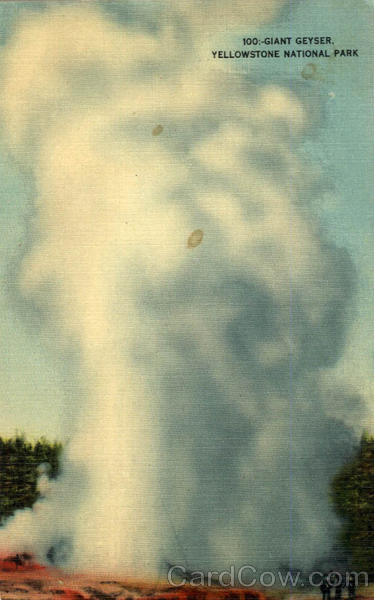 Giant Geyser Yellowstone National Park Wyoming