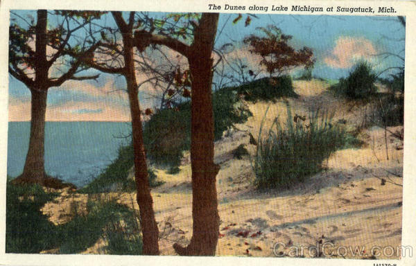 The Dunes along Lake Michigan at Saugatuck