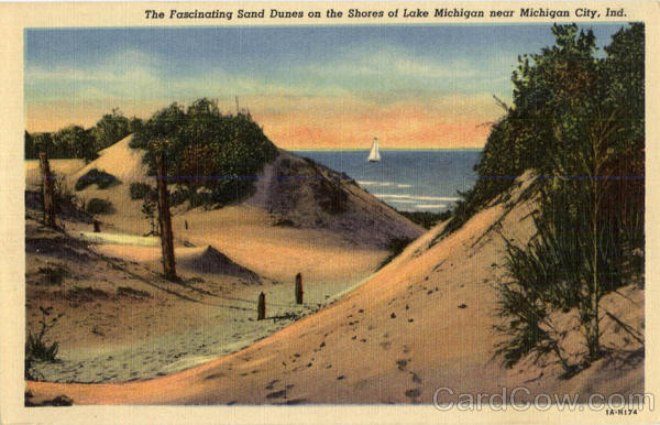 The Fascinating Sand Dunes on the Shores of Lake Michigan Indiana