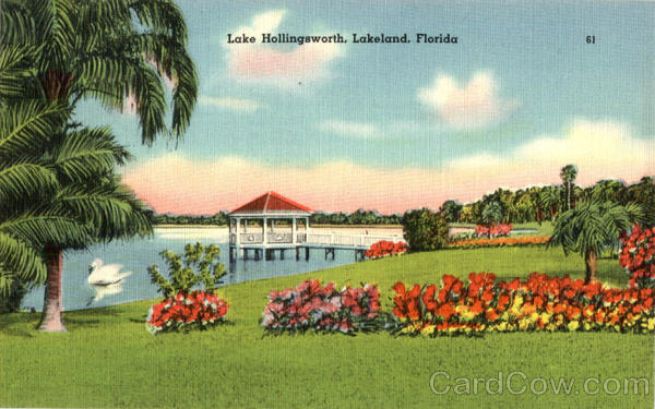 Lake Hollingsworth Lakeland Florida