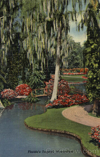 Florida's Tropical Wonderland Scenic