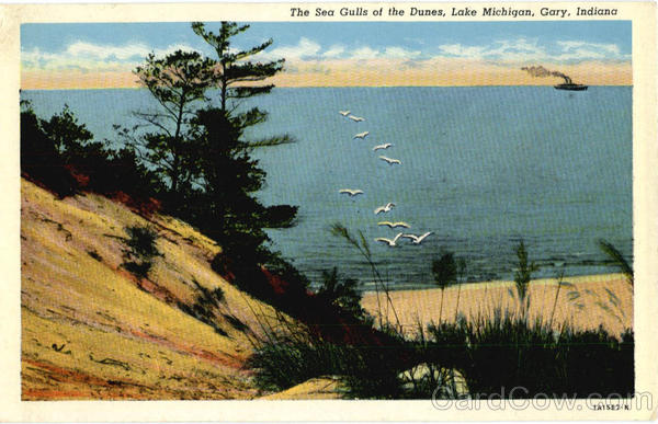The Sea Gulls of the Dunes, Lake Michigan Gary Indiana