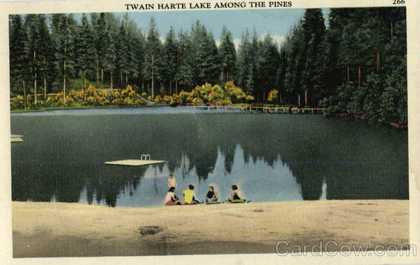 Twain Harte Lake among the Pines California
