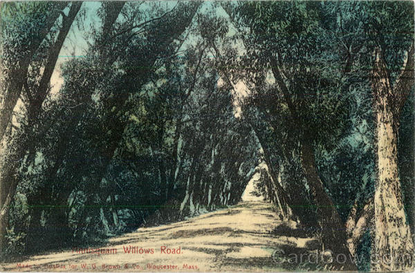 Willows Road Annisquam Massachusetts