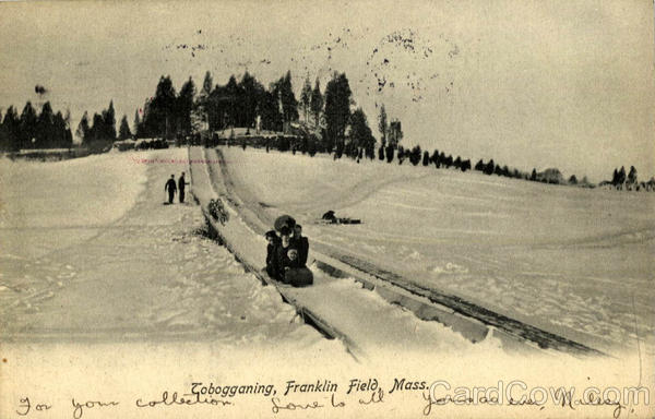 Tobogganing Franklin Field Massachusetts