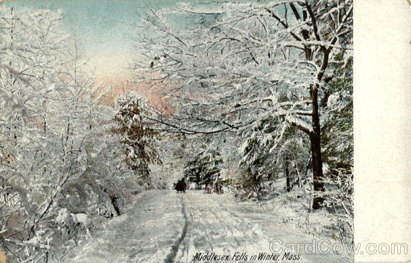 Middlesex Fells in Winter Stoneham Massachusetts
