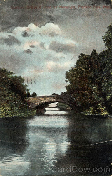 Bridge & Pond by Moonlight Franklin Park Massachusetts