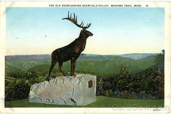 The Elk Overlooking Deerfield Valley Mohawk Trail Massachusetts