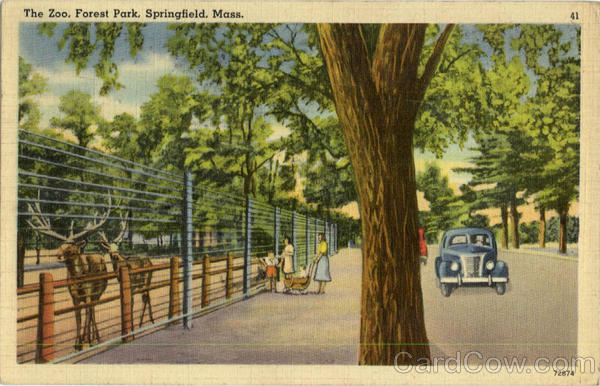 The Zoo, Forest Park Springfield Massachusetts