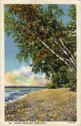 Shore Scene Postcard