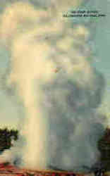 Giant Geyser Postcard