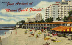 Just Arrived at Miami Beach Postcard