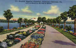Beautiful Memorial Causeway Postcard
