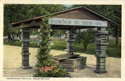 Fountain of Youth Postcard